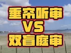“垂帘听审”“双盲庭审”